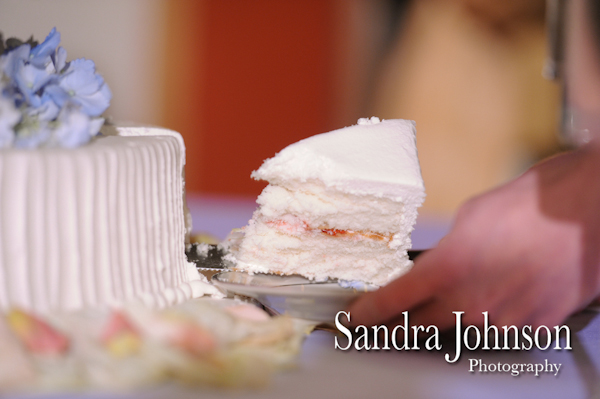 Best New Orleans wedding photographer - Sandra Johnson (SJFoto.com)